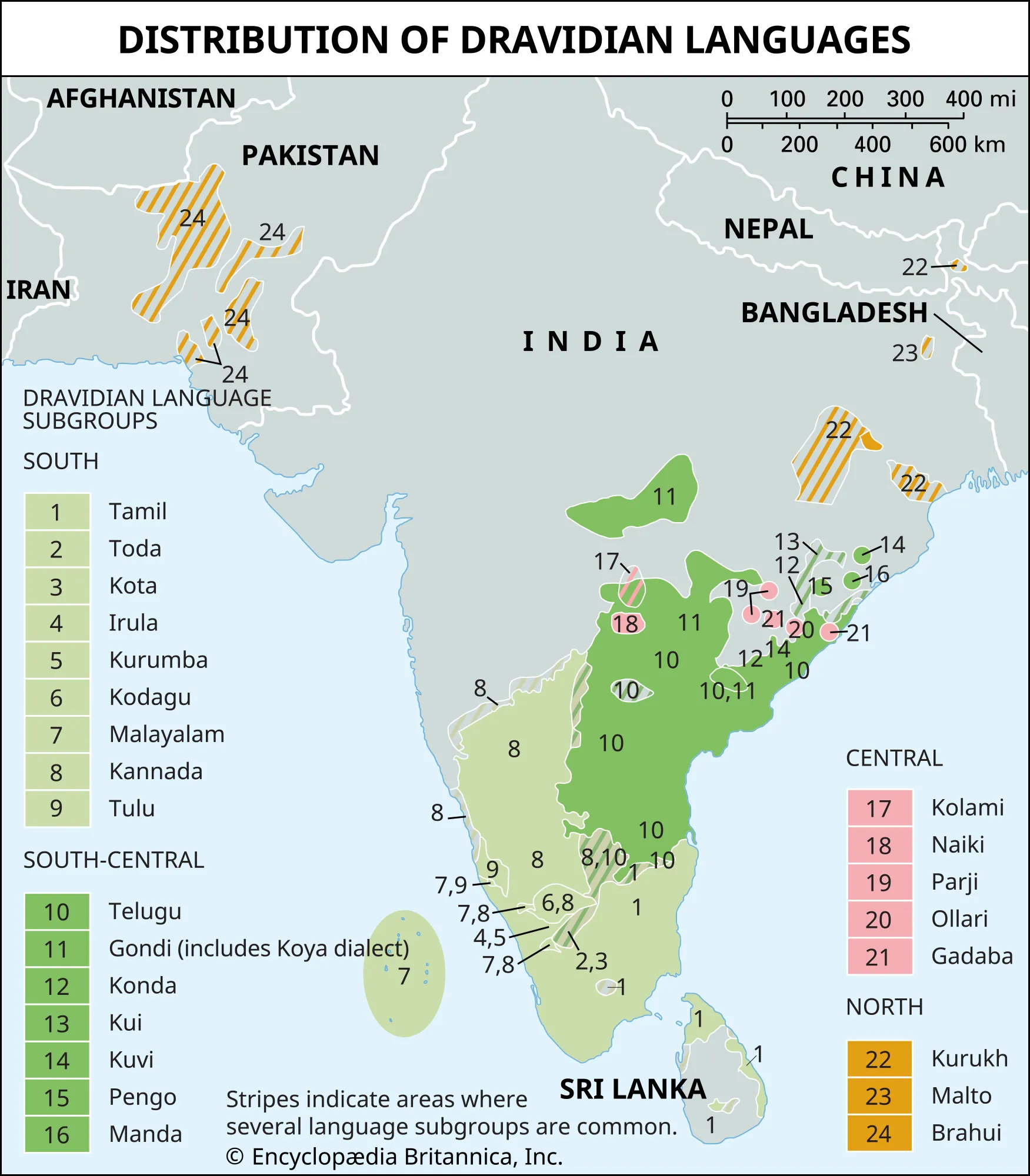 dravidian