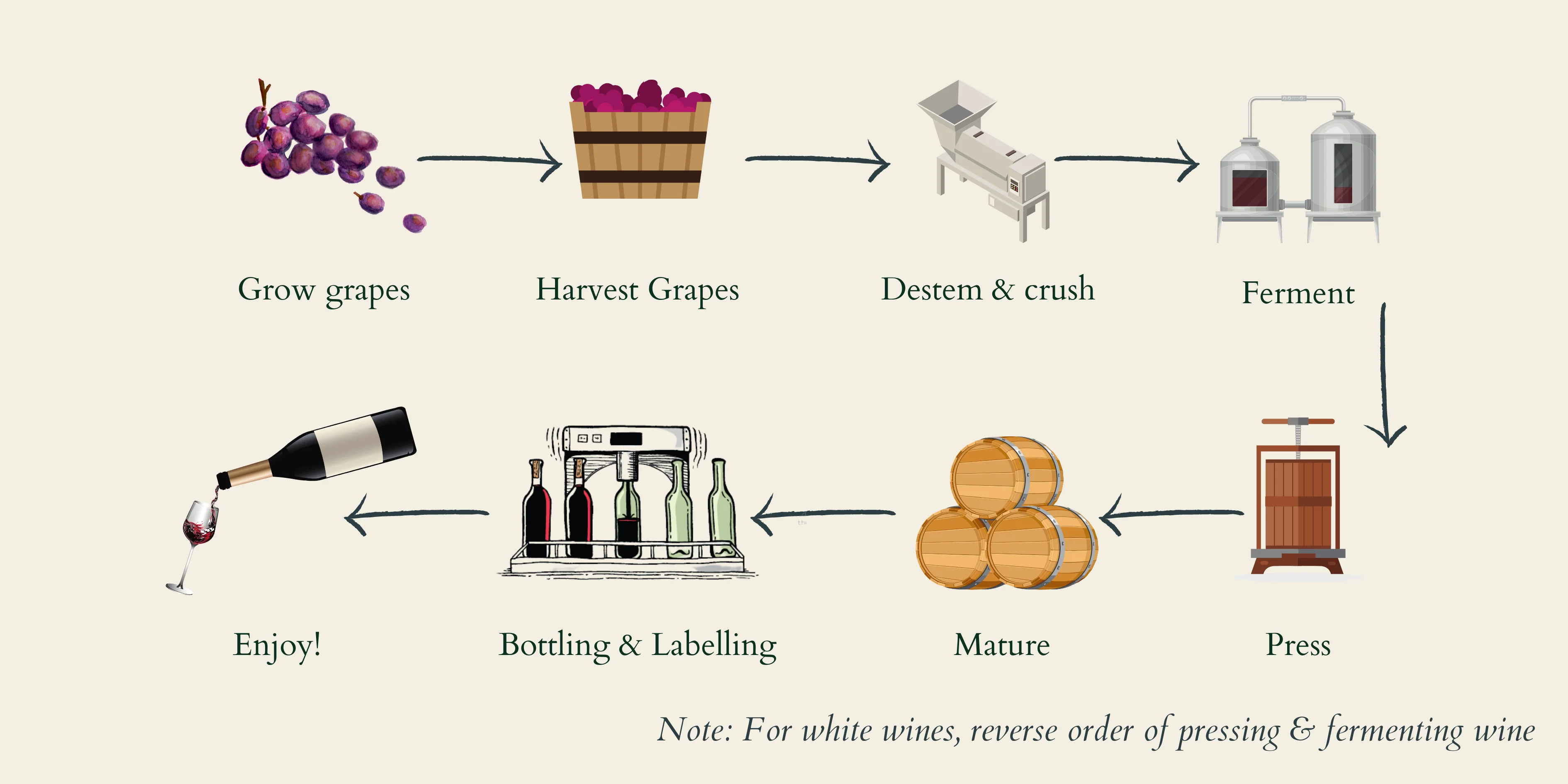 grape wine